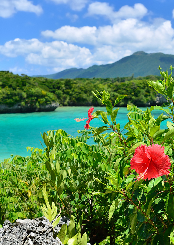 [
						あーりてぃだ]
						から見える、朝の景色
