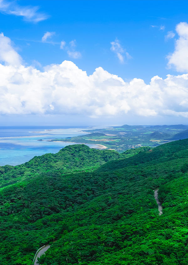 あーりてぃだから見える、朝の景色