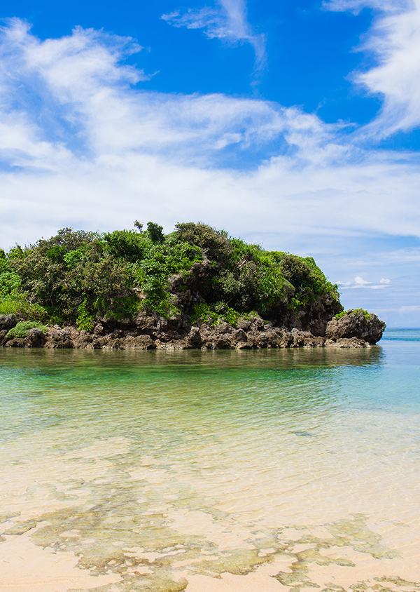 あーりてぃだから見える、朝の景色